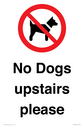 no-dogs-upstairs-please-~